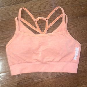 Adapt Fleck Seamless Sports Bra